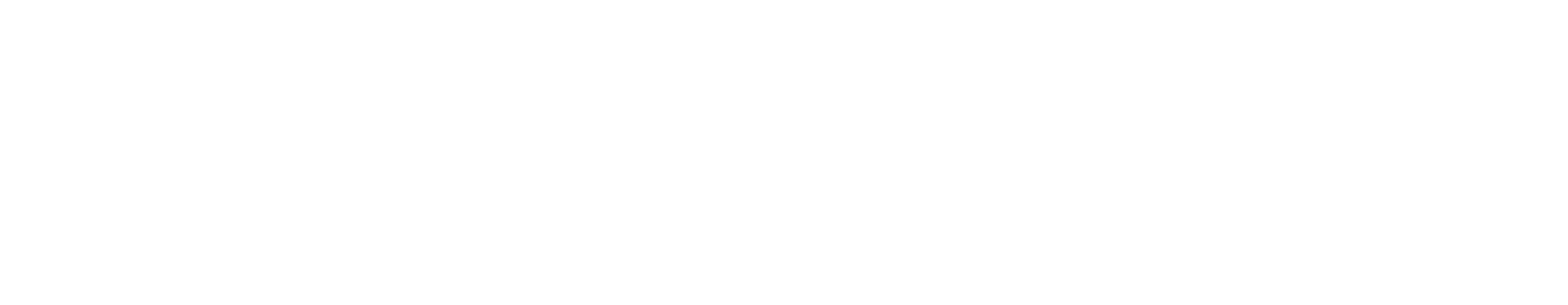 Vetspire Developer Portal logo